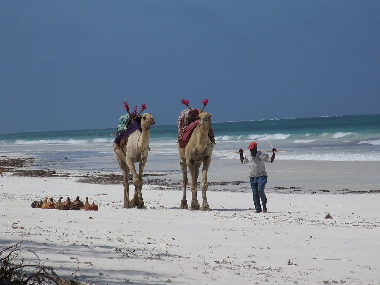 Visitors walking together along Diani Beach
