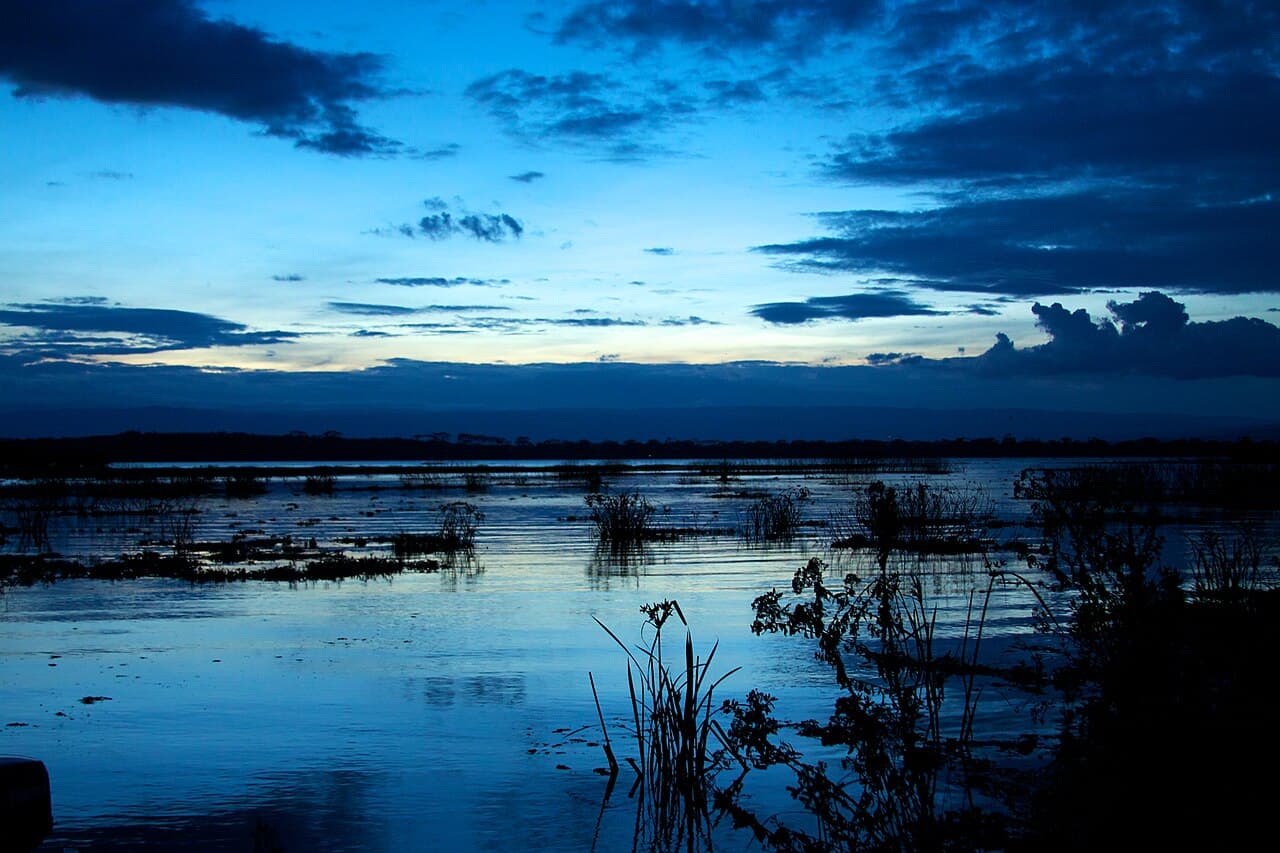 Blue evening sky reflected over Lake Naivasha