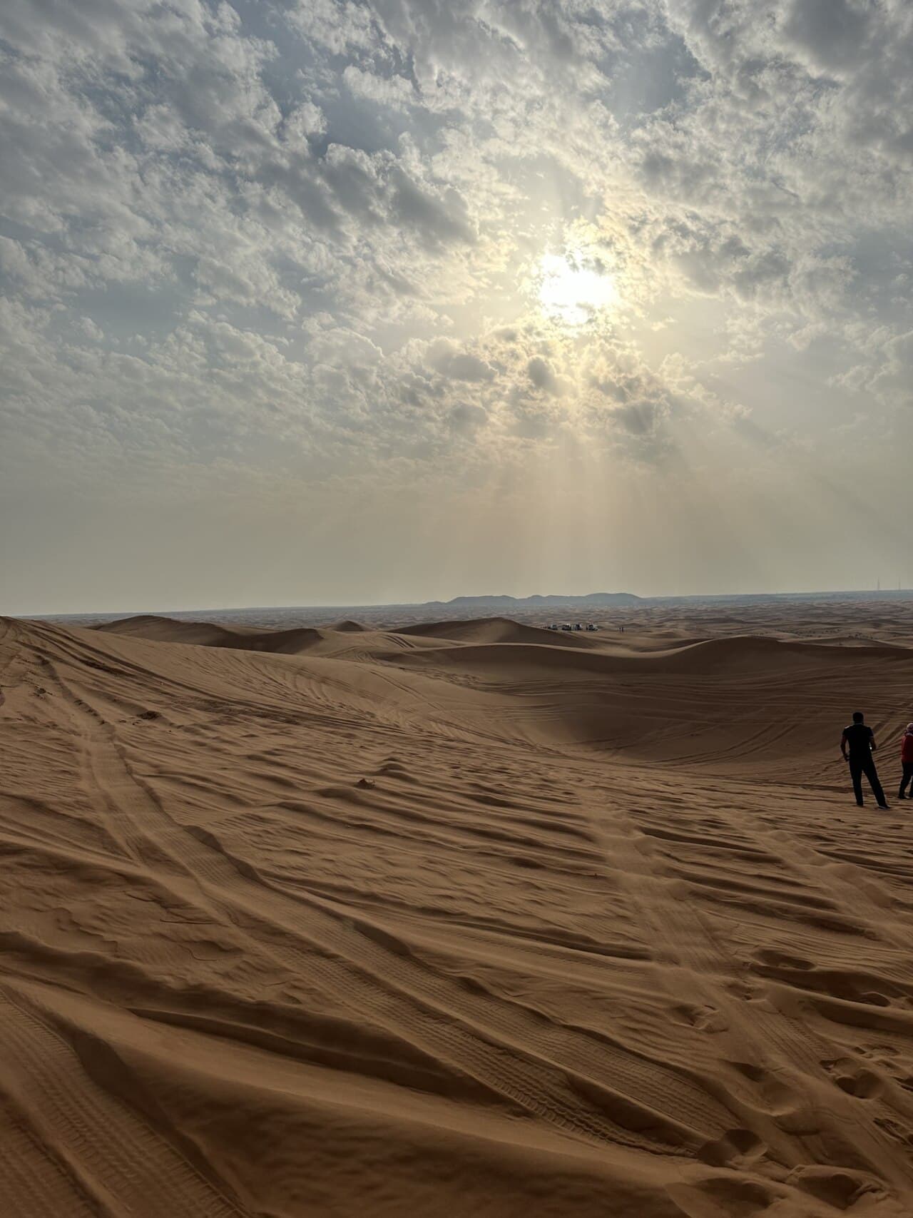 Sand dunes in the Dubai Desert Conservation Reserve