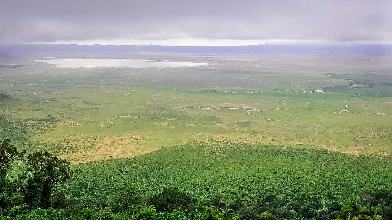 Wide view across the Ngorongoro Crater in Tanzania